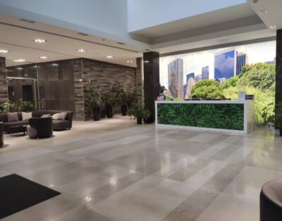 Sunny city view in “Central park”