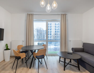 Apartment Petrovdim in Warsaw Wola